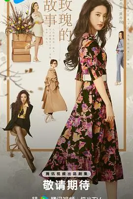 总裁的子子前妻